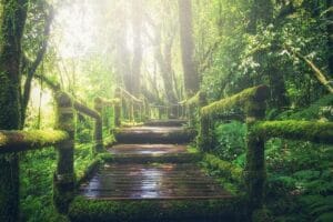 Memory Palaces For Medical Students