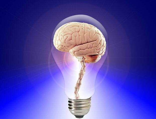 A brain-embedded light bulb with the capability to serve as a memory palace.