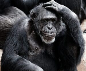 Top 7 Evidence-based Study Methods For medicine