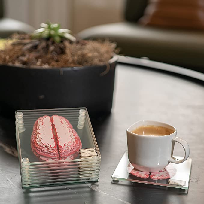 Anatomic Brain Specimen Coasters, brain