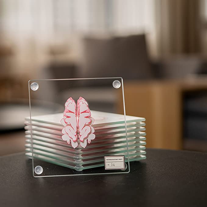 Anatomic Brain Specimen Coasters (Set of 10) - Neuroscience Gifts, Best Gifts for Medical Student Gifts Brain Decor Human Anatomy Gifts. Thinkgeek Coasters Think Geek Gifts, coaster, picture, brain.
