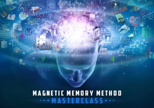 Magnetic Memory Method Masterclass, masterclass.