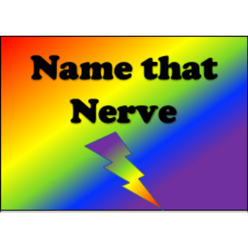 Rainbow, Name that Nerve.