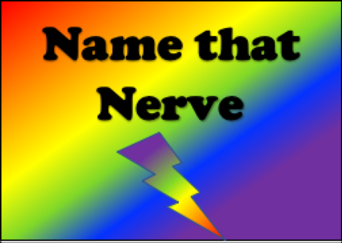 Rainbow, Name that Nerve.
