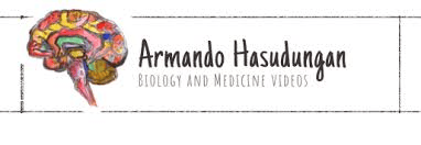 MedEd University | Top Medical YouTube Channels Every Student Should Follow MedEd University | Top Medical YouTube Channels Every Student Should Follow